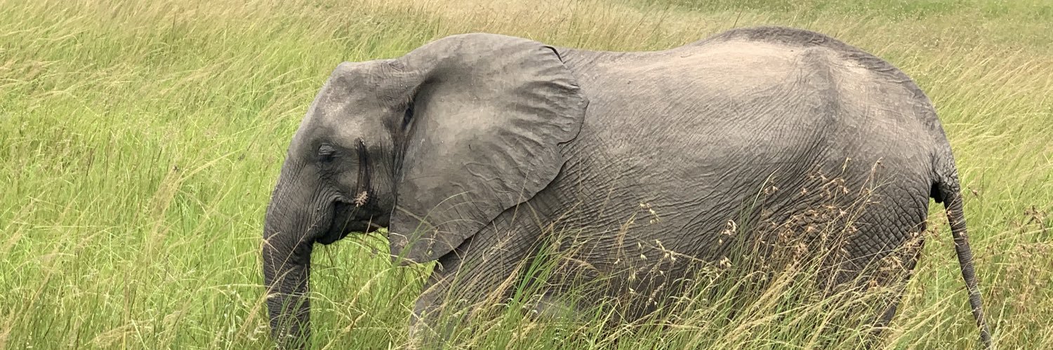 I'm no P.J.O'Rourke banner