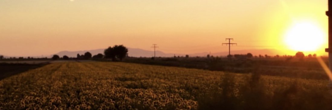 defnee_oz's profile banner image