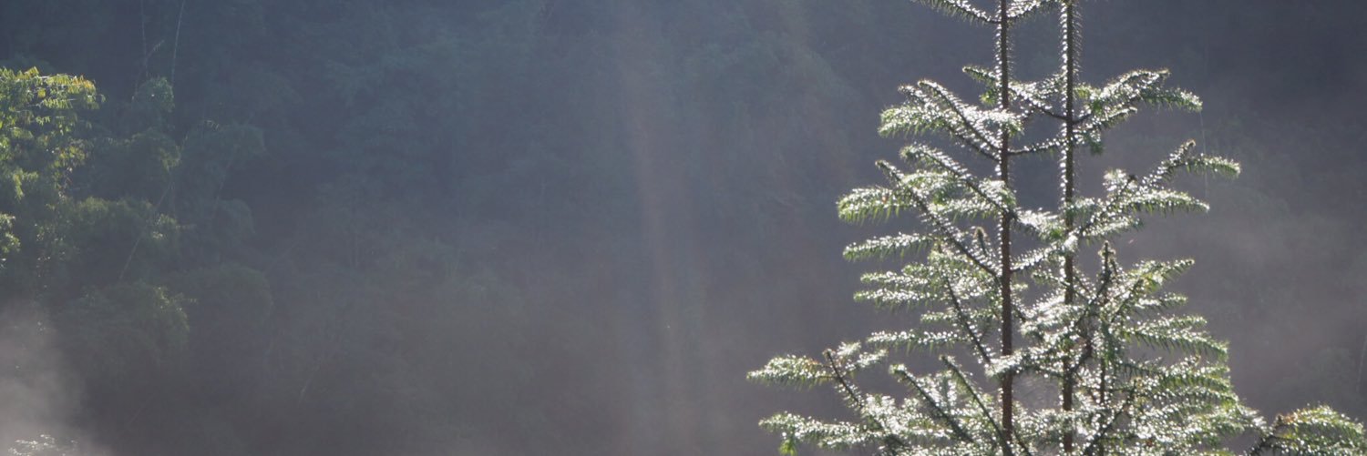 Utaboss's profile banner image