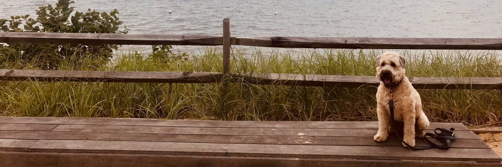 BobBorden's profile banner image