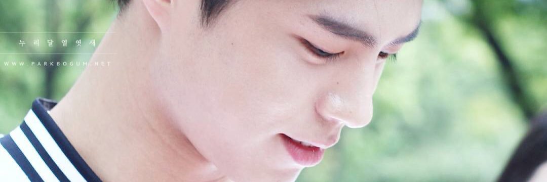 dimple_llamas's profile banner image