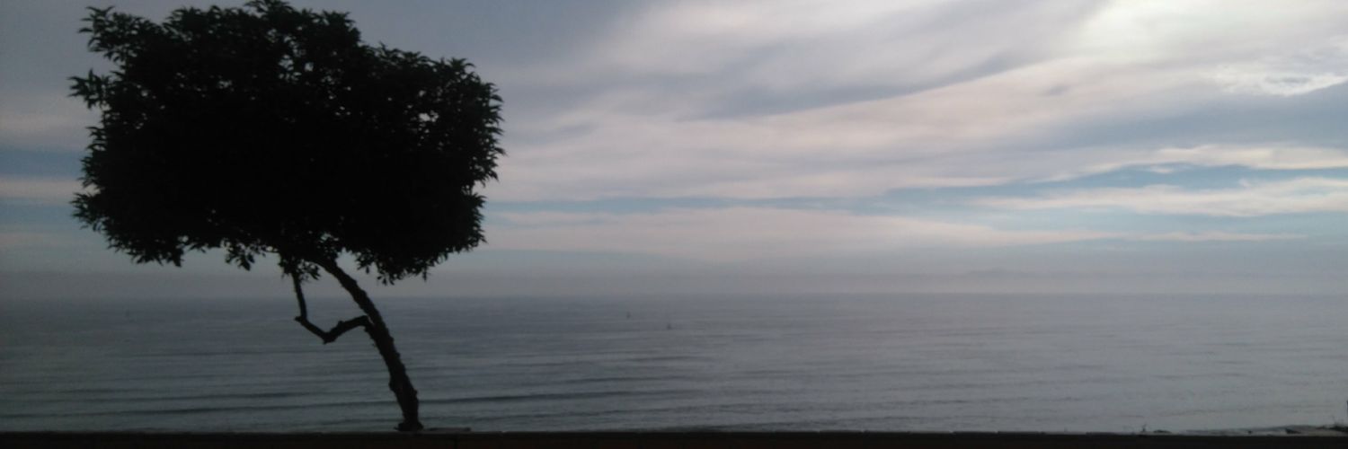 Lis banner