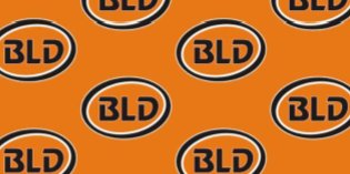 bldringette's profile banner image