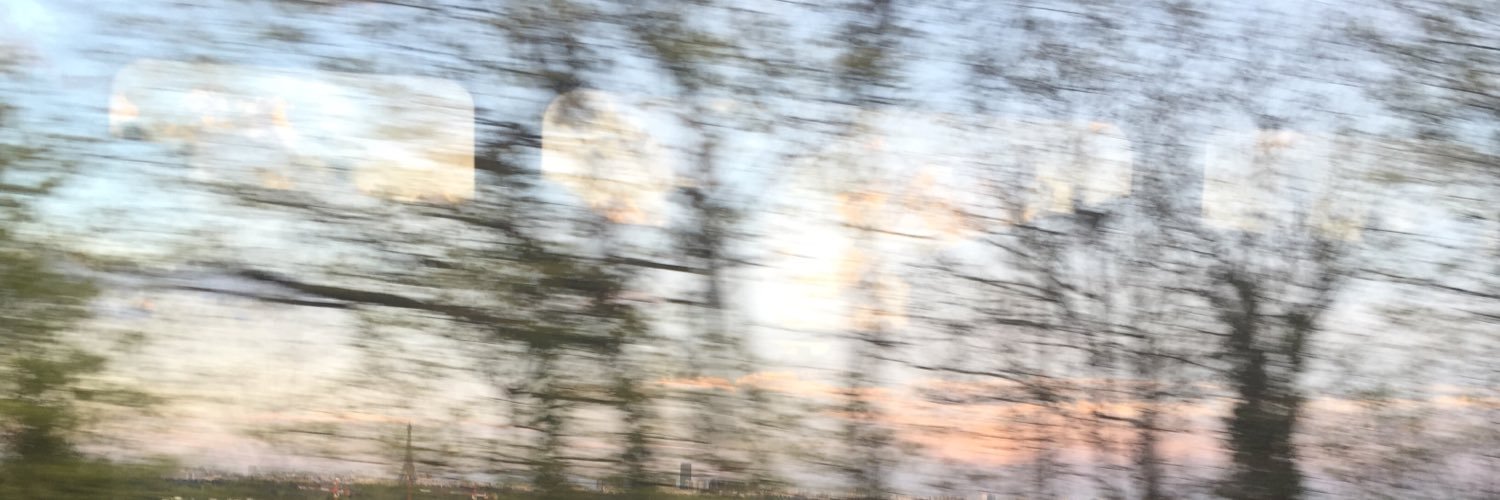 eva_dsss's profile banner image