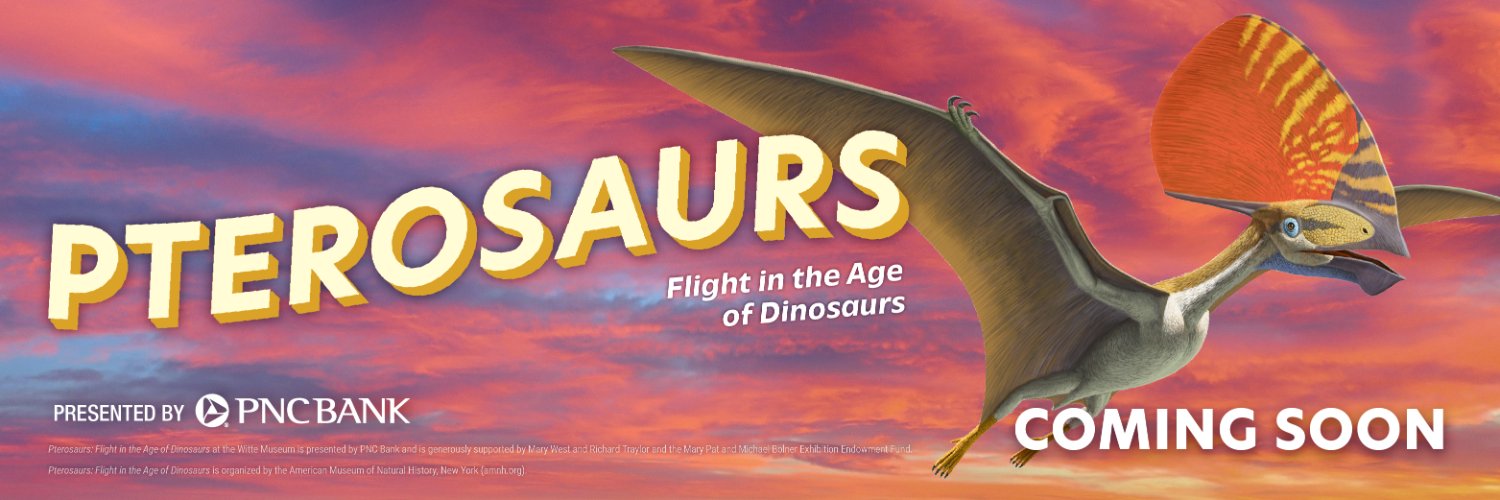 Witte Museum ~ Nature, Science & Culture banner