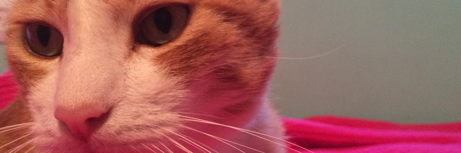 CeliaJuarillo's profile banner image