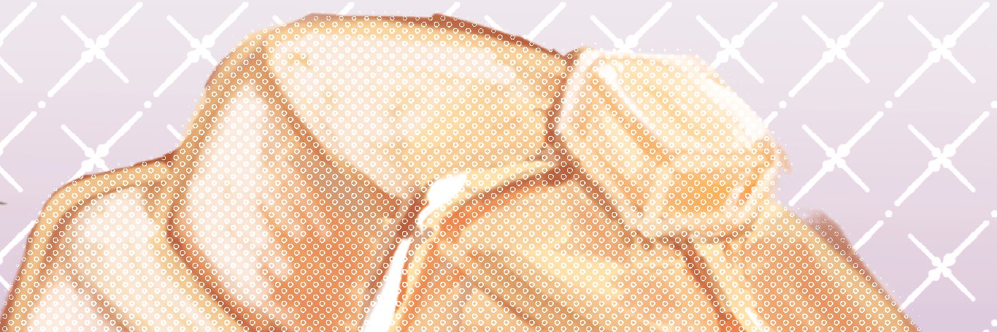 naru_cl10's profile banner image