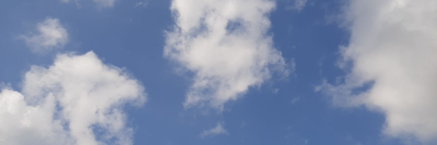 lala banner