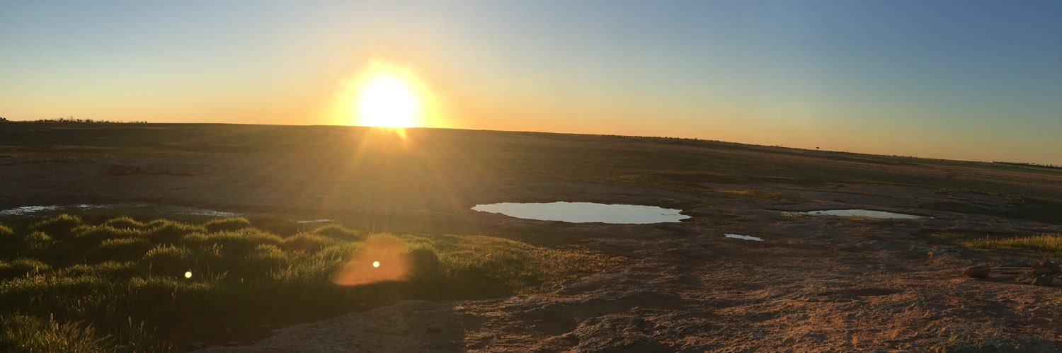 Natalie Purdy banner