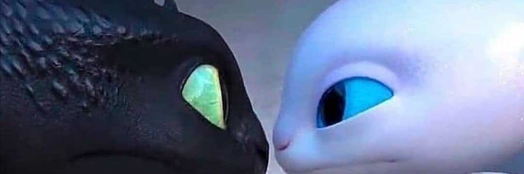reycko_'s profile banner image