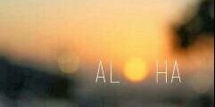0mariaclara's profile banner image
