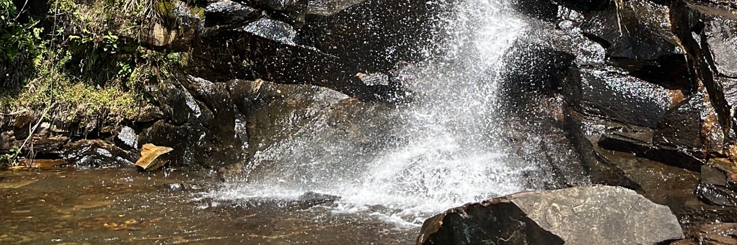 Macumbeiro de Direita 🇧🇷 banner