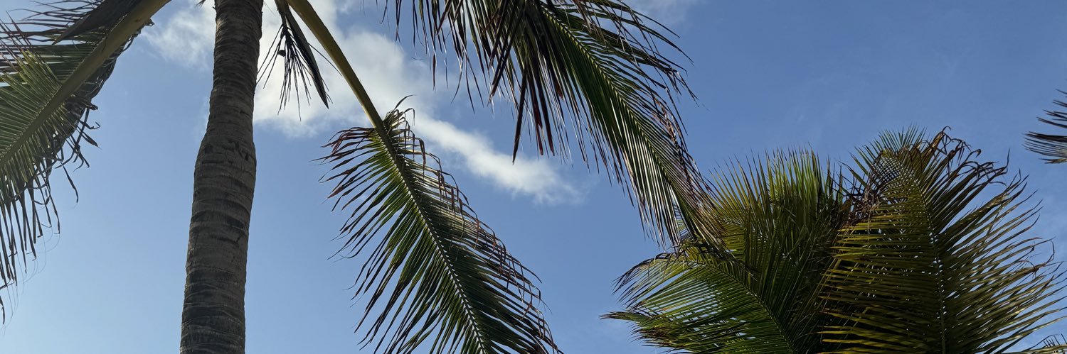 ShariAlana's profile banner image