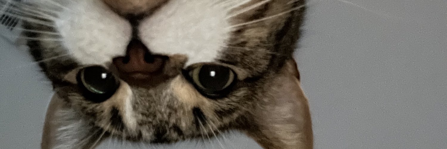 stutikv's profile banner image