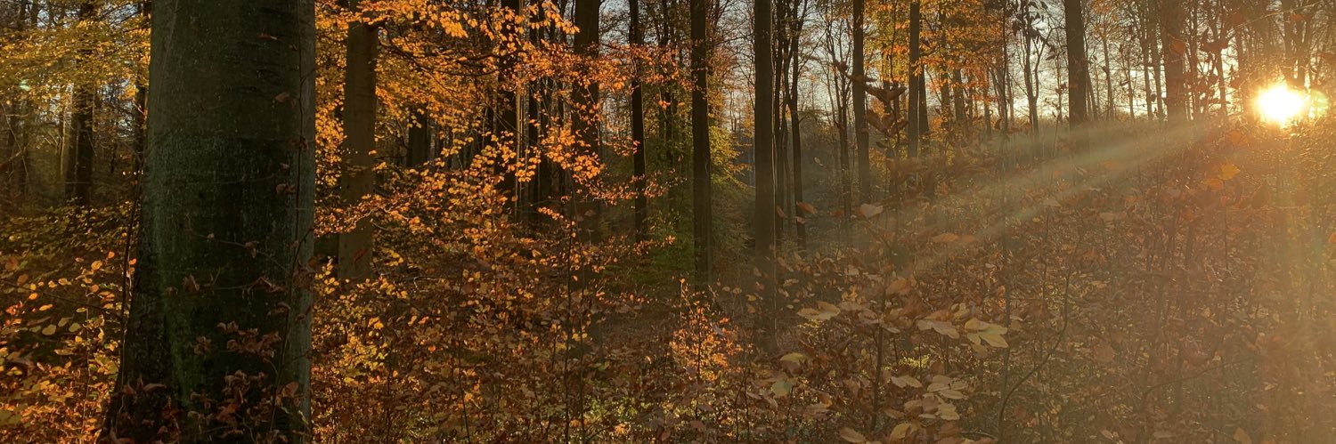 Hortense deRoffignac banner