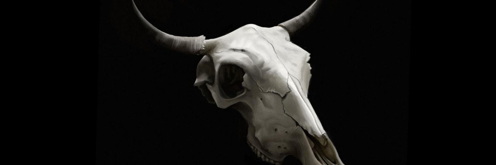 BelCeBu78's profile banner image