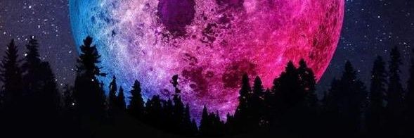 RecklessRj138's profile banner image