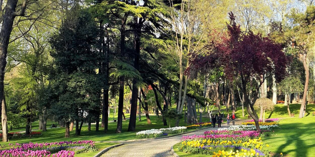 merzyurt's profile banner image