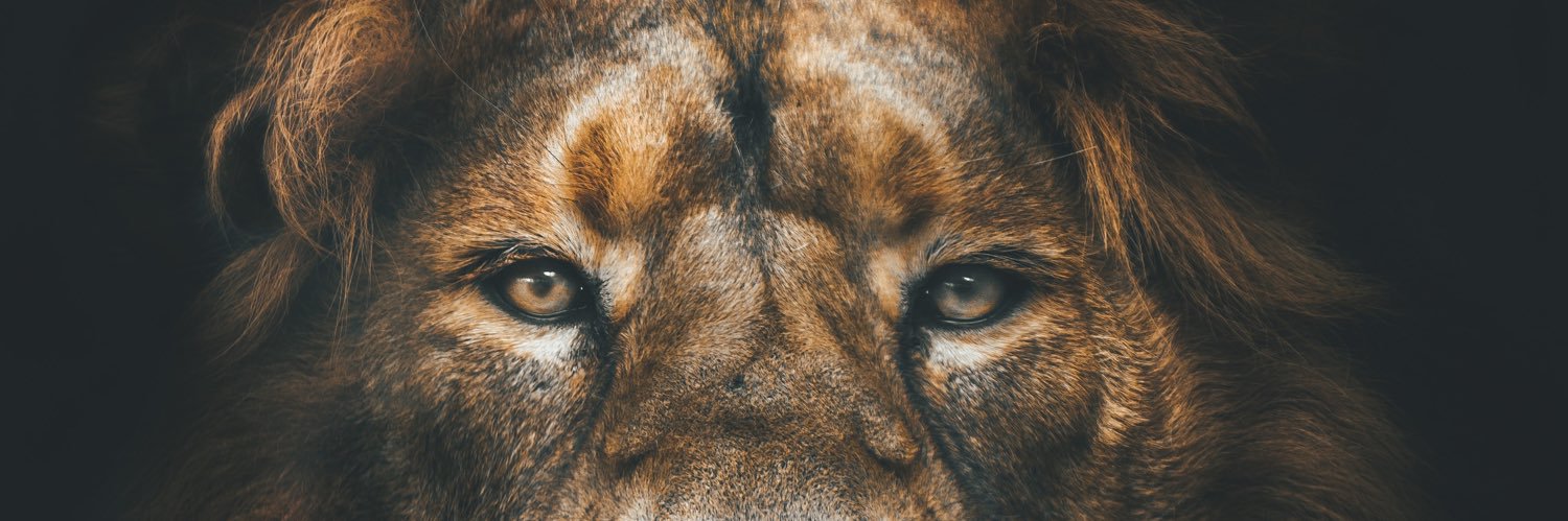 Torrents77's profile banner image