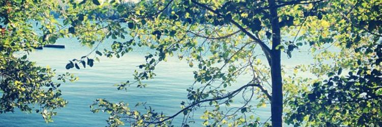 myecocan's profile banner image