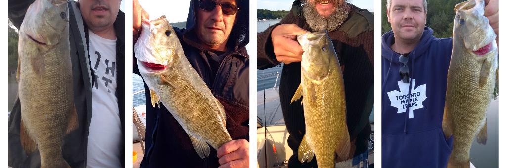 SomeGuysFishing's profile banner image