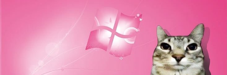 ashwmxd's profile banner image