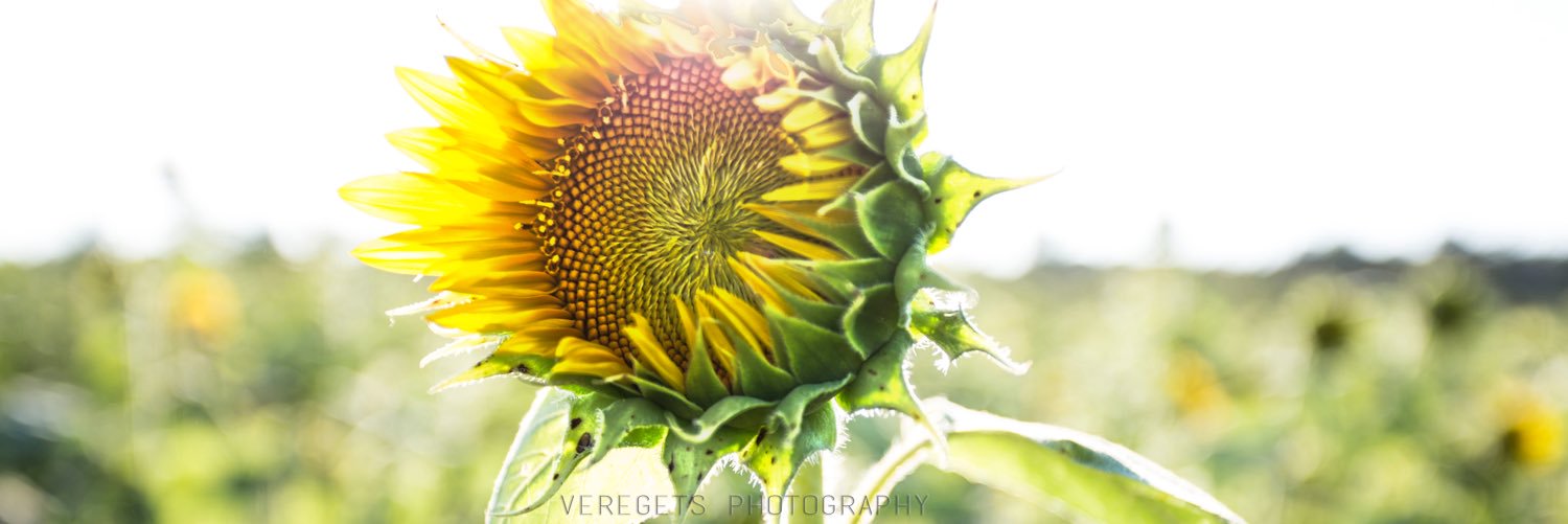WkndFotographer's profile banner image