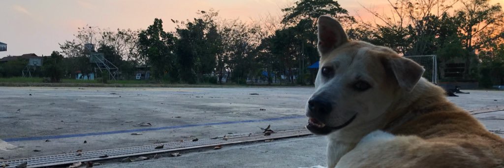 miw_kub's profile banner image