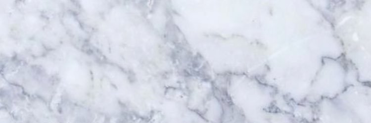 jesssenoj's profile banner image