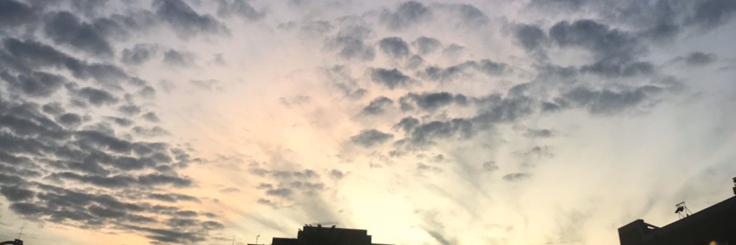 c_od9's profile banner image