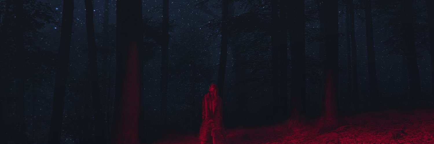 madxlein's profile banner image