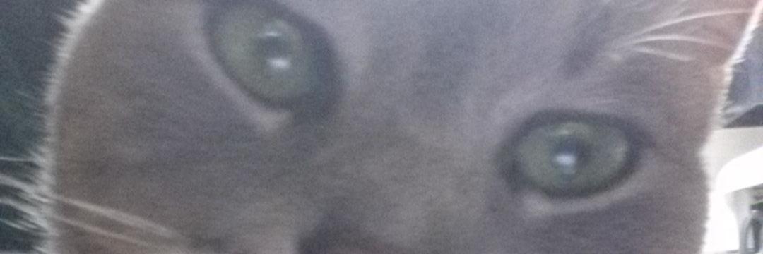 HeidiSmith99's profile banner image