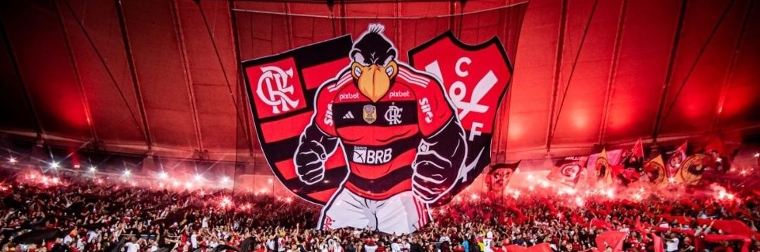 Rodrigovieirag2's profile banner image