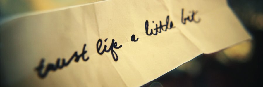 Alisha Dorow banner