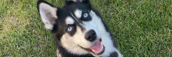 MattyIceF14's profile banner image