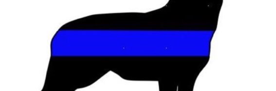 ((( Nick Todd ))) banner