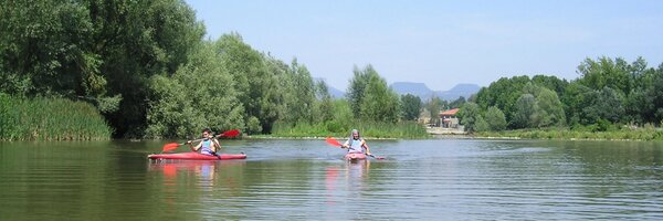 GrupDefensaTer Profile Banner