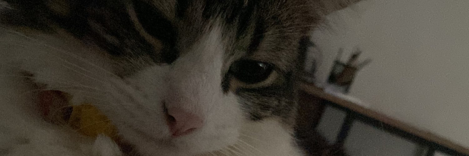 Chrissykcetee's profile banner image