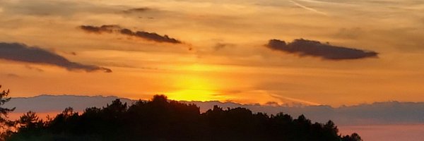 Phil_Mitchell70 Profile Banner