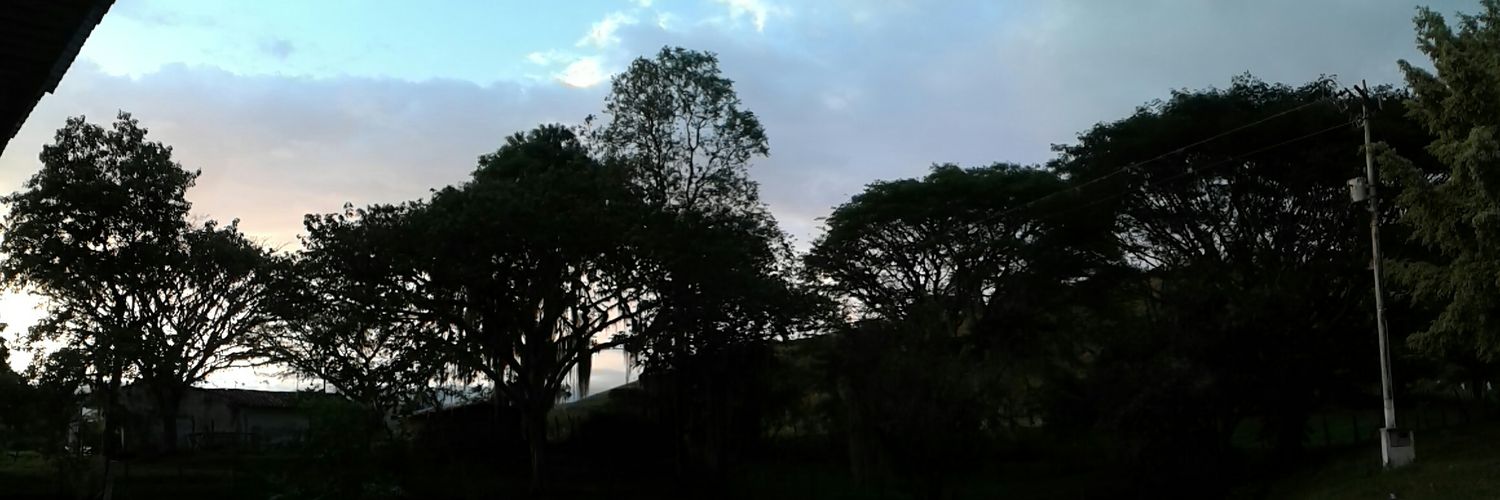 Mafiuchis's profile banner image