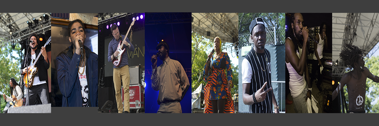 Picatra Photography banner