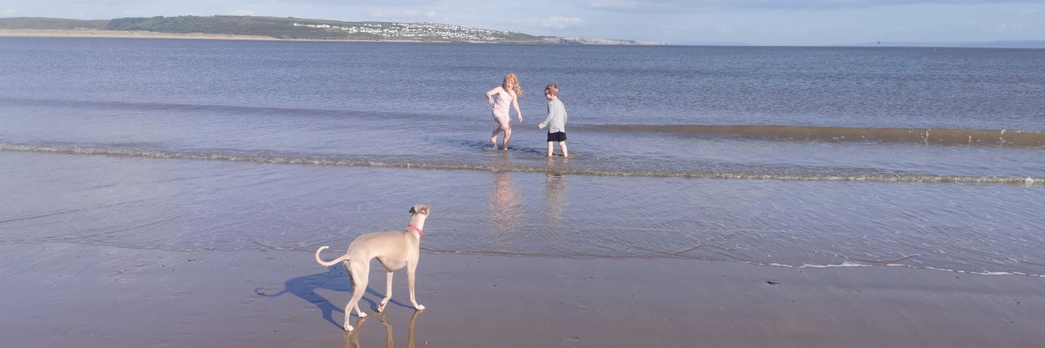 gingerkate58's profile banner image
