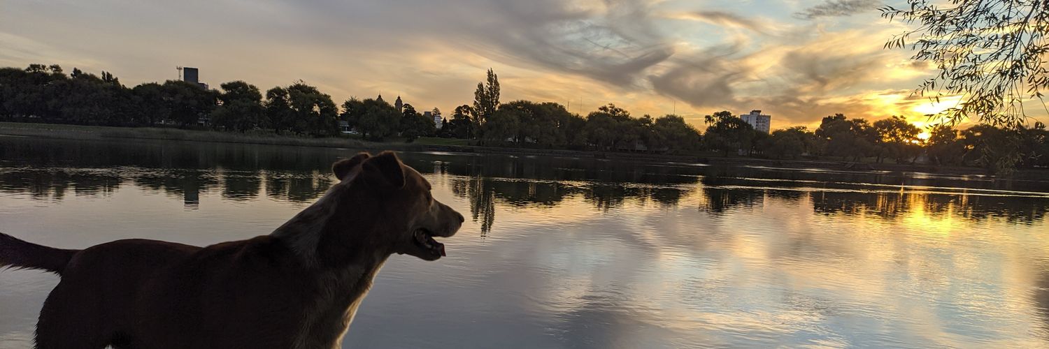 FedericoGrun's profile banner image