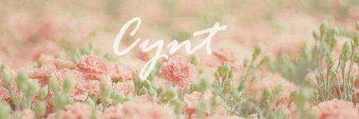 cynt2's profile banner image
