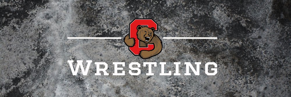 Cornell Wrestling's banner