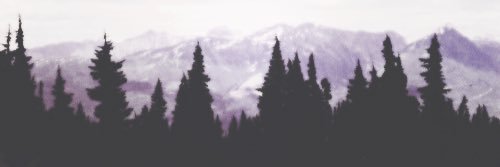 mhowell3's profile banner image