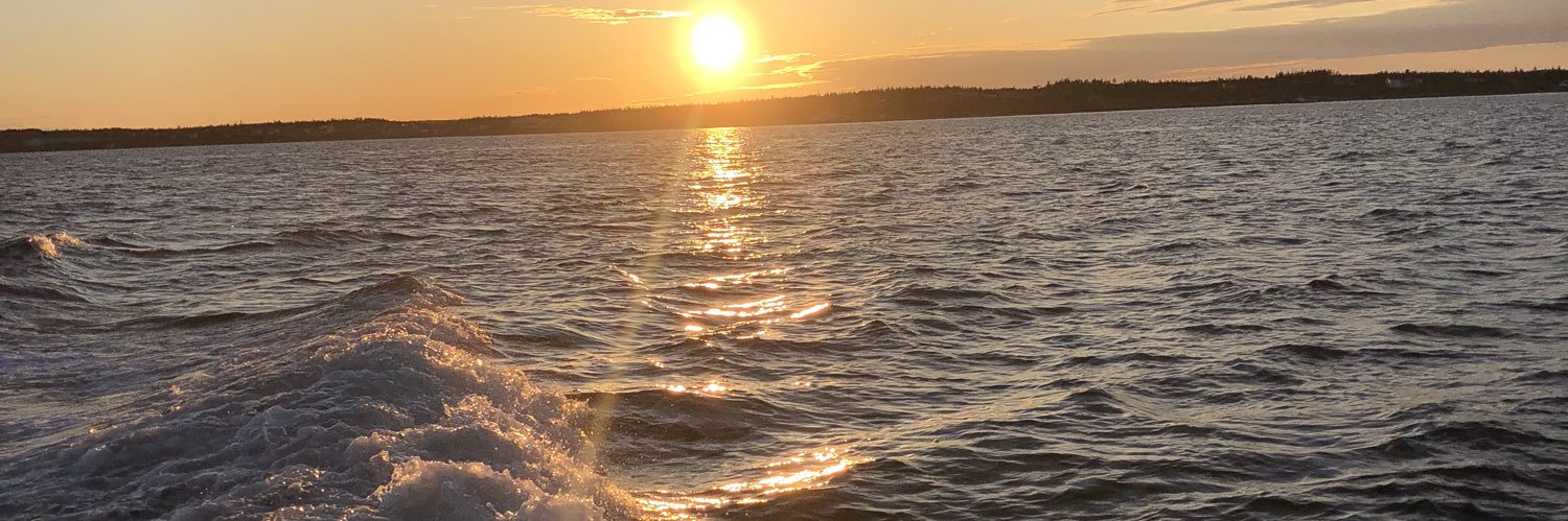 logdoucet's profile banner image