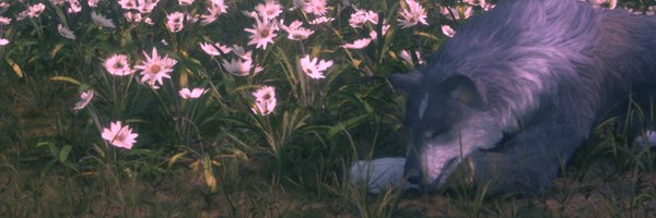 Next_Jen Profile Banner