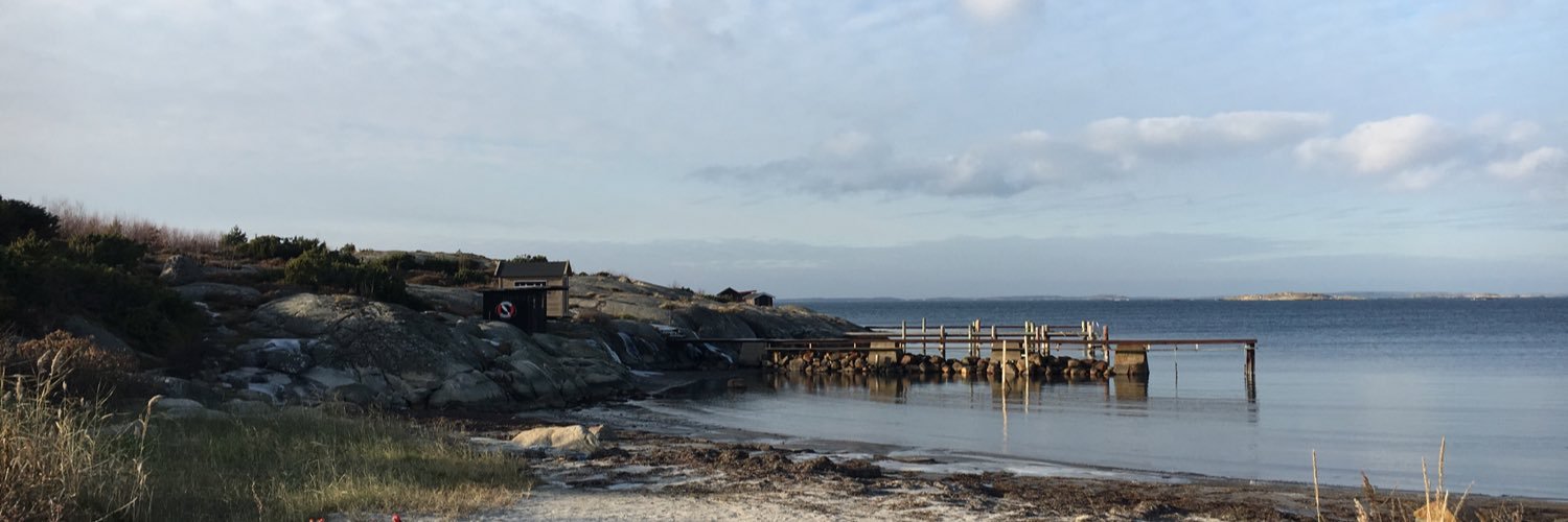 Caroline Löfgren banner