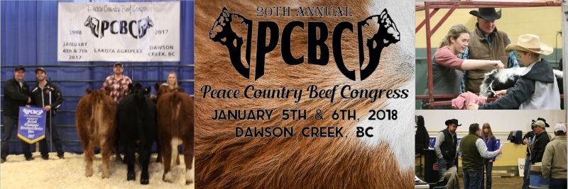 PCBeefCongress's profile banner image